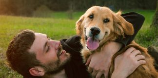 Animal antibiotics resistance