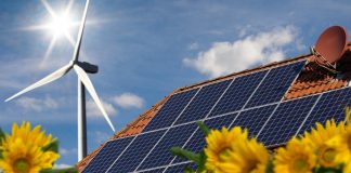 Chlorophyll social cell