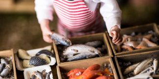 Post-Brexit Fisheries Bill