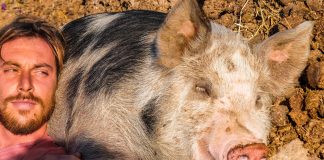 Agricultural circular economy