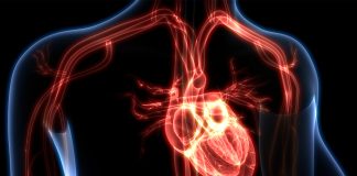 Studying heart failure in muscular dystrophy patients