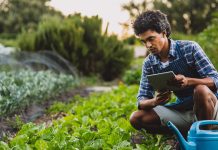 Connected agriculture