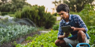 Connected agriculture