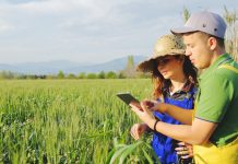 Digital farming market to soar by 2025 Digital agriculture