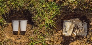 Field testing the rate of degradation in compostable packaging