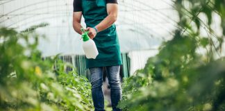 Food production challenge