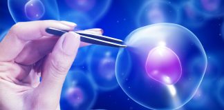 Nano-tweezers can extract single molecules from cells