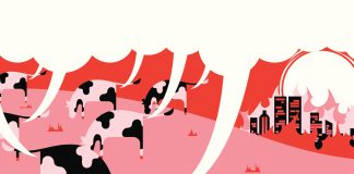 Organic compound reduces methane emissions of cattle by 25%