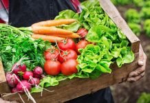 What is organic food fraud? Organic food fraud