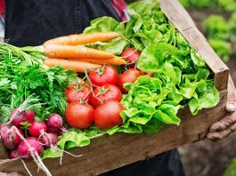 Organic food fraud