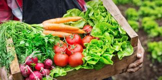 Organic food fraud