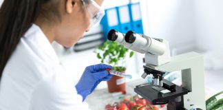 Revolutionising the requirements for food safety certification