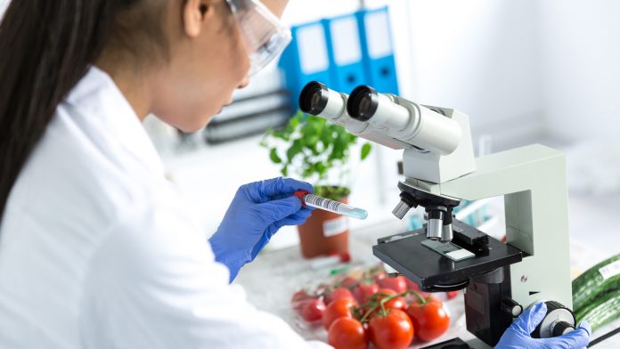 Revolutionising the requirements for food safety certification