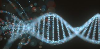 What are the driving factors behind the synthetic biology market?