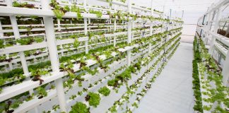 Vertical farming