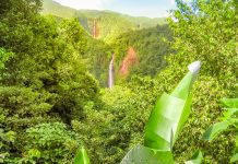 small-scale farming system