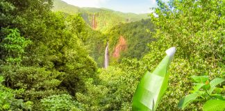 small-scale farming system