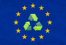 Circular Economy Action Plan: making sustainability the norm Circular Economy Action Plan