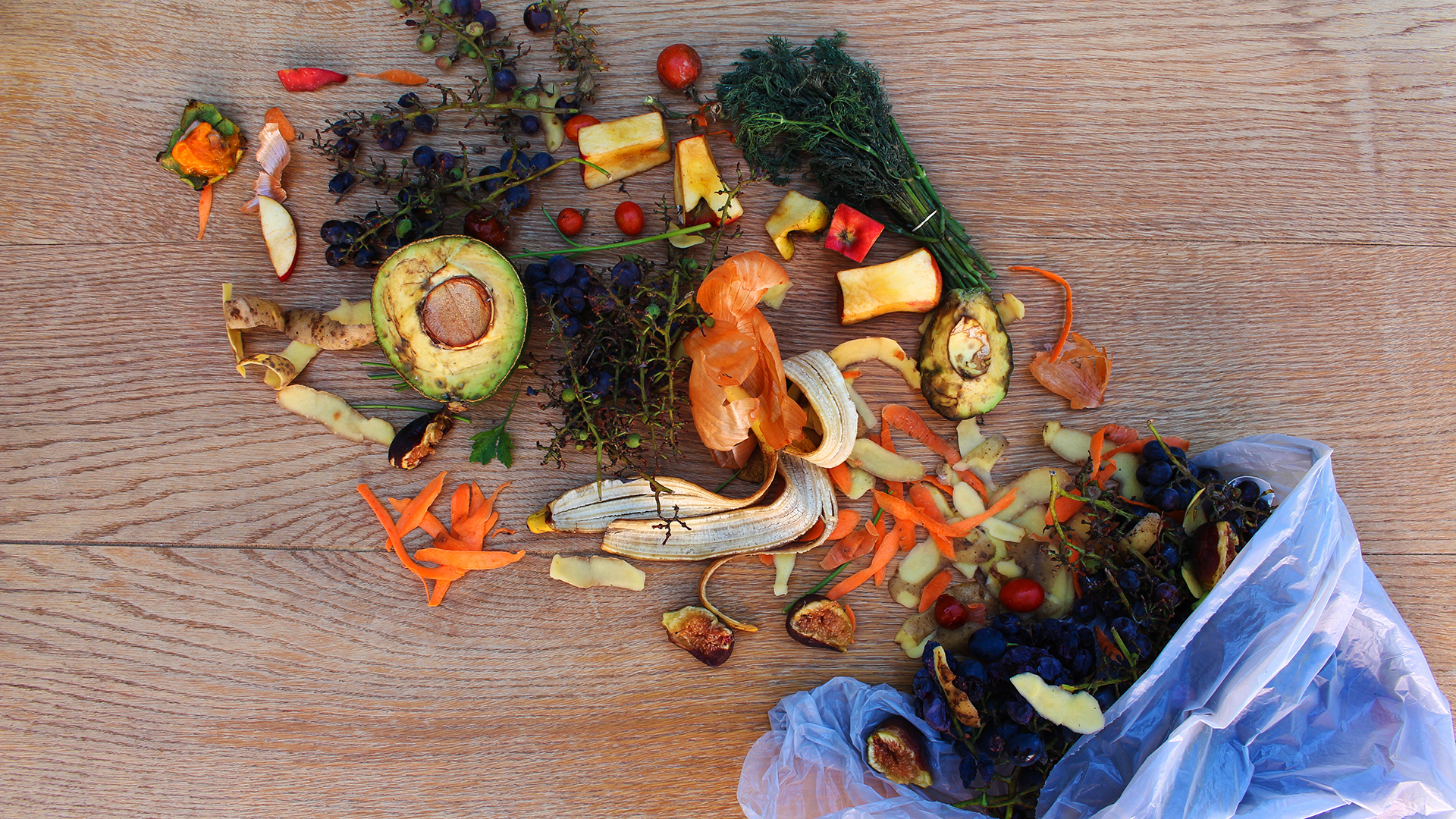 How innovation in microbial research can combat food waste