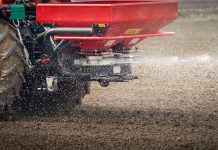 Phosphorus management