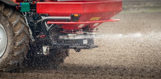 Phosphorus management