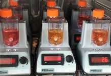 Stem cell production