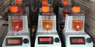 Stem cell production