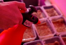 The sustainable electrochemical synthesis of hydrogen peroxide The sustainable electrochemical synthesis of hydrogen peroxide