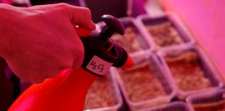 The sustainable electrochemical synthesis of hydrogen peroxide