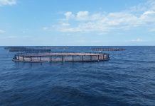 transportation insurance