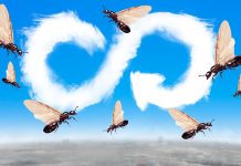 Could the shells of insects be the missing link in the circular economy? Circular economy biomaterials