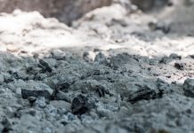 Using biochar to increase biodiversity in soil Biodiversity in soil