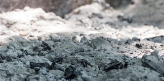 Biodiversity in soil