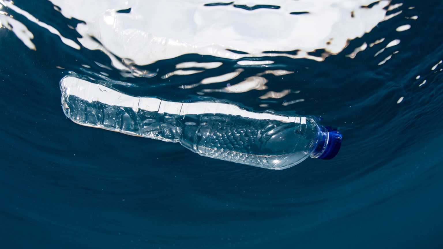 Using starch and cellulose to create a marine biodegradable plastic
