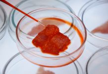 A new bill to further the regulation of lab-grown meat regulation of lab-grown meat