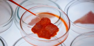 regulation of lab-grown meat