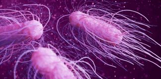 Antimicrobial coating