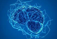 Endocannabinoid signalling in olfactory neural circuits Endocannabinoid