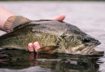 Aquaculture in America: extensive and diverse US Aquaculture