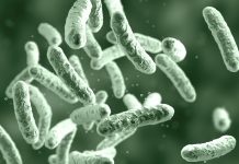 Optimising microbial electrochemical technologies in the real world microbial electrochemical technologies