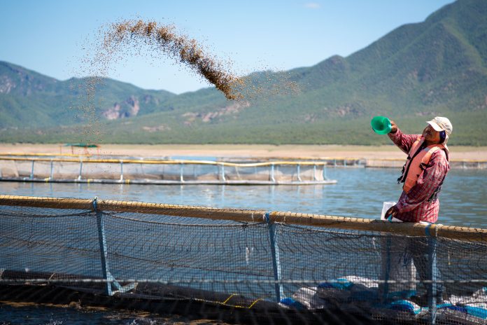 responsible aquaculture