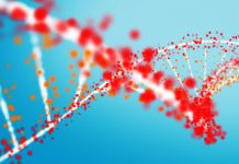 Discovering the quantum wave nature of complex antibiotic polypeptides