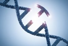 Scientists genetically reprogramme bacteria for better nanomaterials reprogrammed bacteria