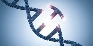 reprogrammed bacteria