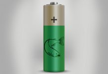 Using salmon DNA to increase the stability of batteries stability of batteries