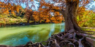 water-use efficiency