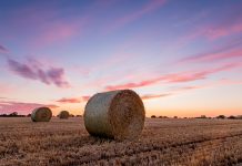 Could agriculture offer a solution to climate change? Solution to climate change