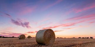 Solution to climate change