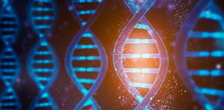 CRISPR Cas technology