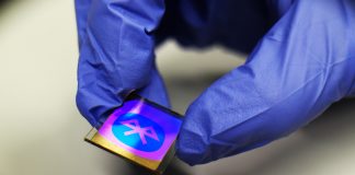 biochemical processes